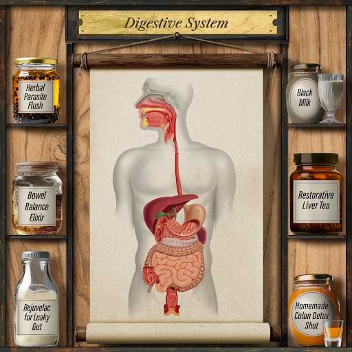 Digestive System shelf — Herbal Parasite Flush, Restorative Liver Tea, Black Milk and more