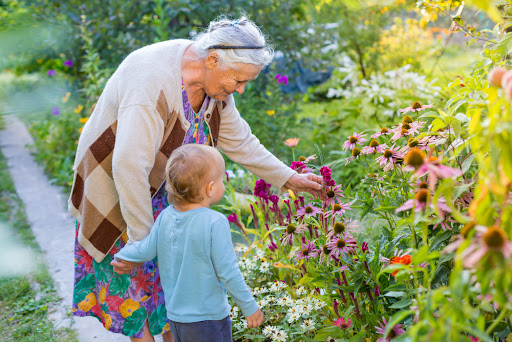 Grandmother's forgotten childhood remedies